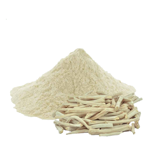 SHATAVARI POWDER - 100gm