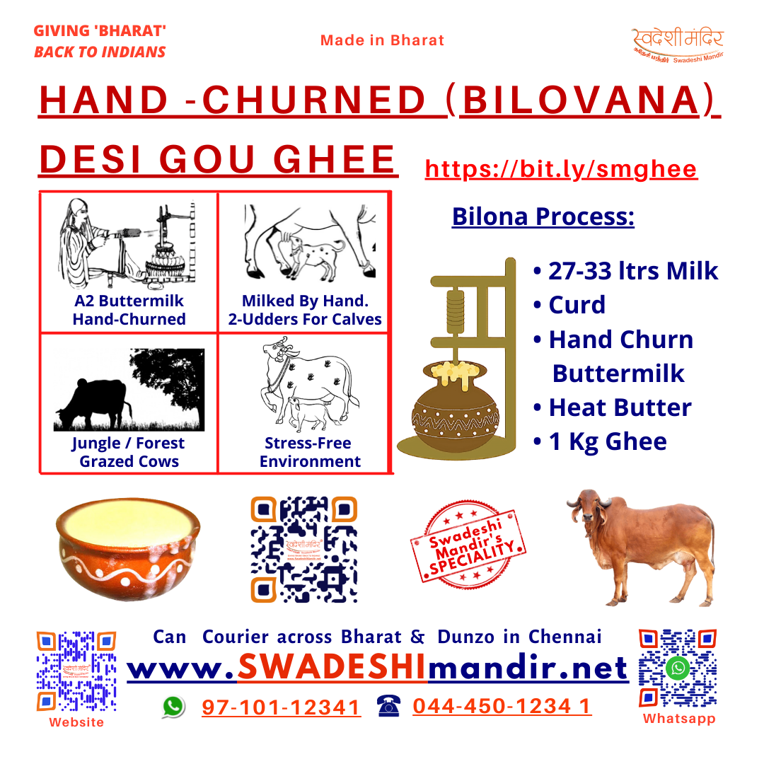 SWADESHI HAND CHURNED DESI COW GHEE [Vedic Biloana (Bilovana) Preparation Method from Buttermilk]