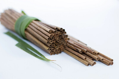 Coconut Palm Leaf Straws by Swadeshi Mandir (Single-Use)