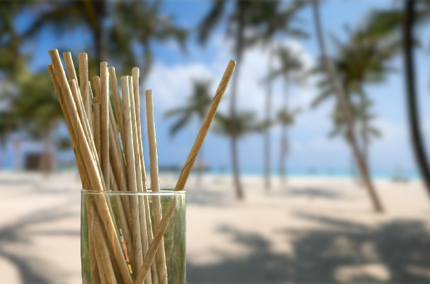 Coconut Palm Leaf Straws by Swadeshi Mandir (Single-Use)