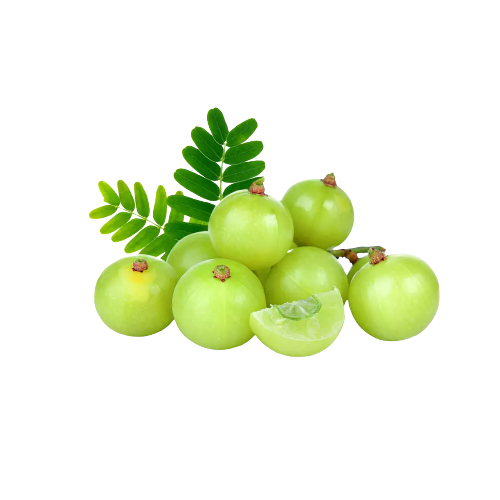 SPICY AMLA SHARBAT (NELLIKAI KANTHARI)
GOOSEBERRY + BIRD&#39;S EYE CHILLY (KE) 700ml - Tamil: காரமான நெல்லிக்காய் சர்பத்
நெல்லிக்காய் + காந்தாரி மிளகாய் Hindi: मसालेदार आंवला शरबत
अमला + उल्टी मिर्च