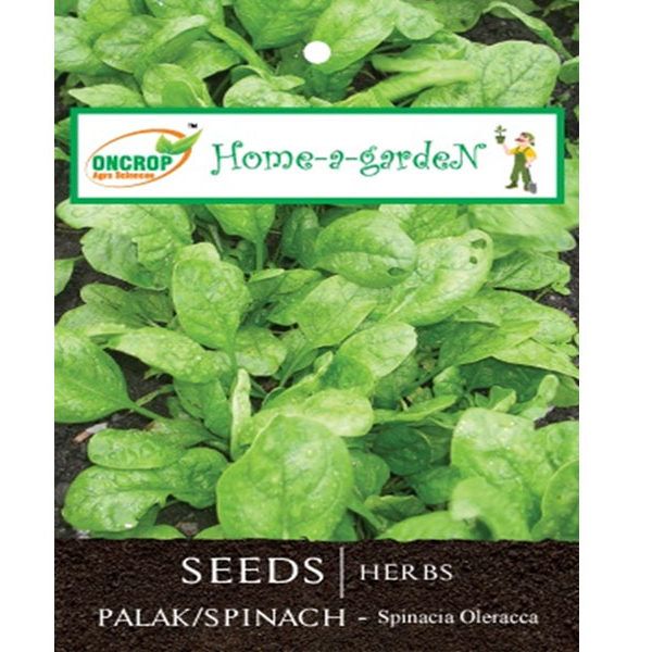 Spinach Seeds - Iron Rich Leafy Vegetable