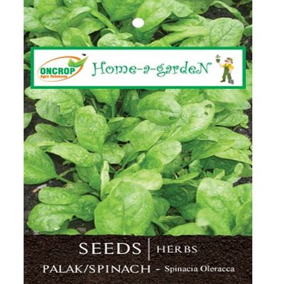 Spinach Seeds - Iron Rich Leafy Vegetable