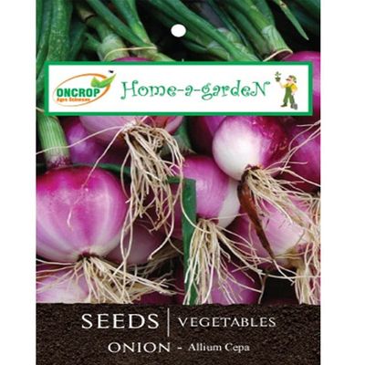 Onion Seeds - Essential Bulb Vegetable Seeds