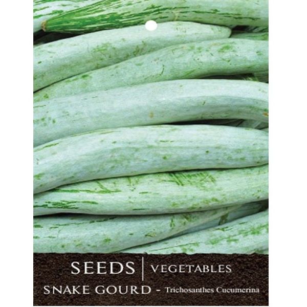 Gourd Long Seeds - Nutritious Climbing Vegetable