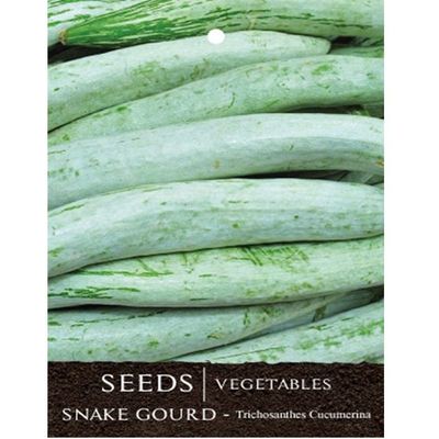 Gourd Long Seeds - Nutritious Climbing Vegetable