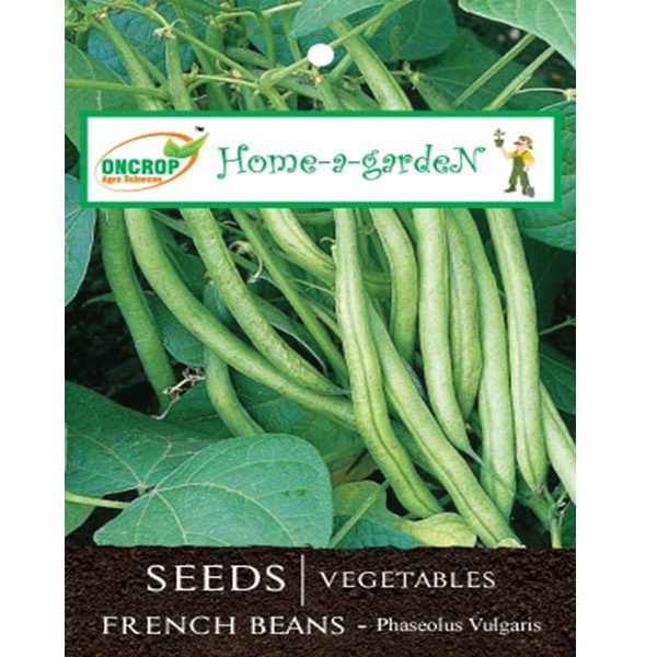 French Beans Seeds - Tender Climbing Bean Pods