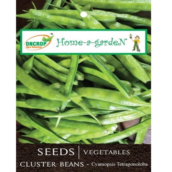 Cluster Beans Seeds - Fast Growing Vining Vegetable