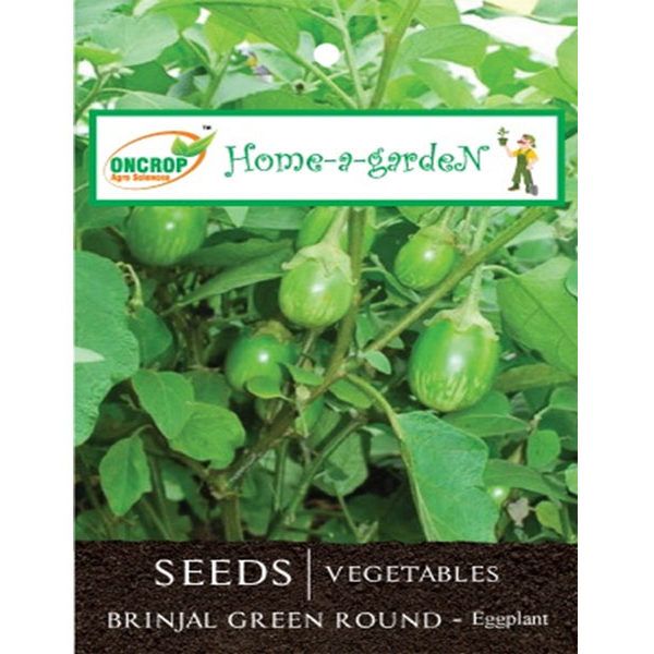 Brinjal Green Round Seeds - Tasty Round Eggplant Seeds