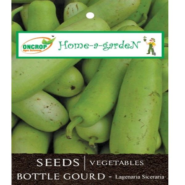 Bottle Gourd Seeds - Cooling Indian Vegetable Seeds