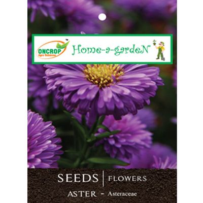 Aster Flower Seeds - Pollinator Friendly Garden Seeds