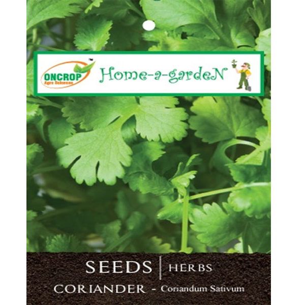 Coriander Seeds - Aromatic Herb &amp; Spice Seeds