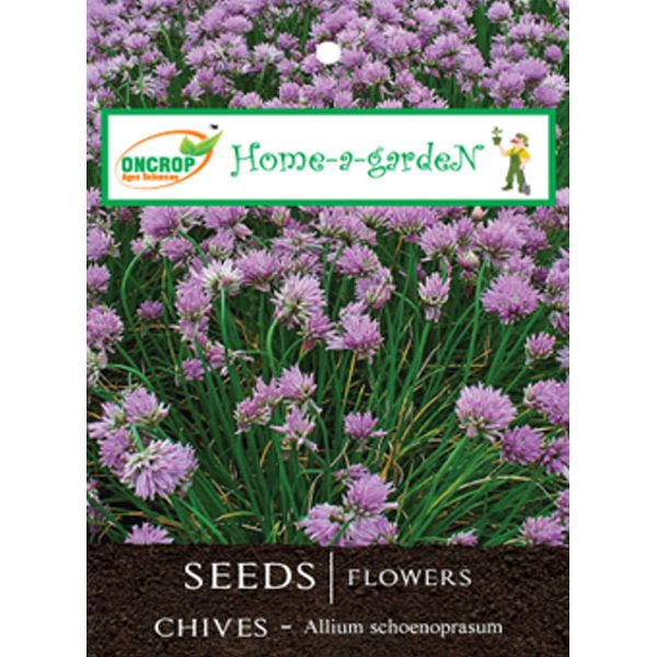 Chives Seeds - Mild Onion Flavored Culinary Herb