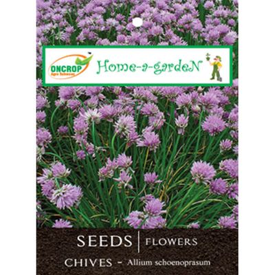 Chives Seeds - Mild Onion Flavored Culinary Herb