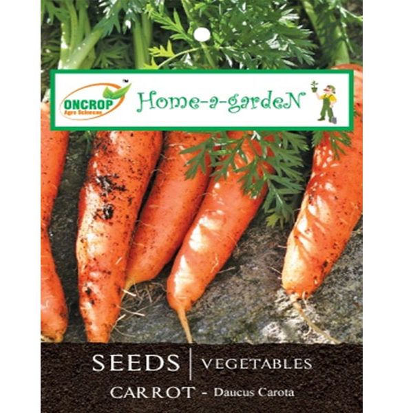 Carrot Seeds - Sweet and Crunchy Root Vegetable
