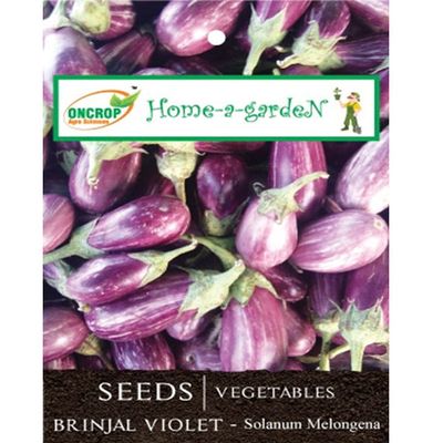 Brinjal Violet Seeds - Glossy Purple Eggplant