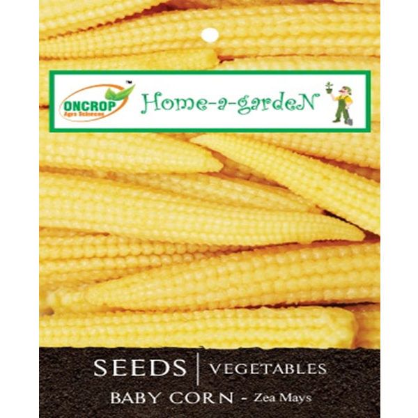 Baby Corn Seeds - Sweet Miniature Corn for Home Garden