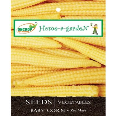 Baby Corn Seeds - Sweet Miniature Corn for Home Garden