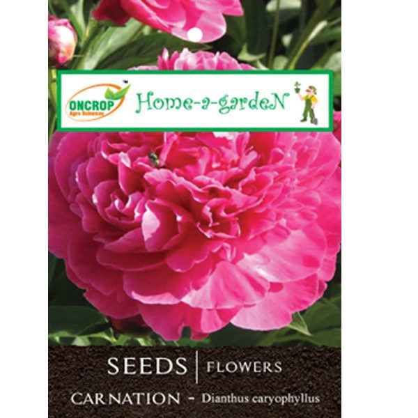 Carnation Flower Seeds - Ornamental Garden Flowers