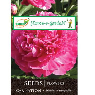Carnation Flower Seeds - Ornamental Garden Flowers