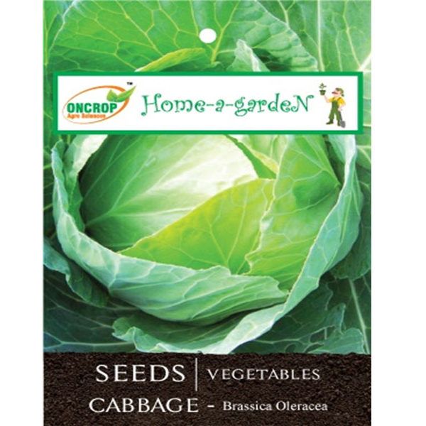 Cabbage Seeds - Cool Season Leafy Vegetable