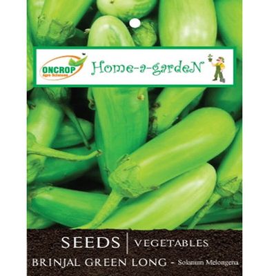 Brinjal Green Long Seeds - Premium Indian Eggplant