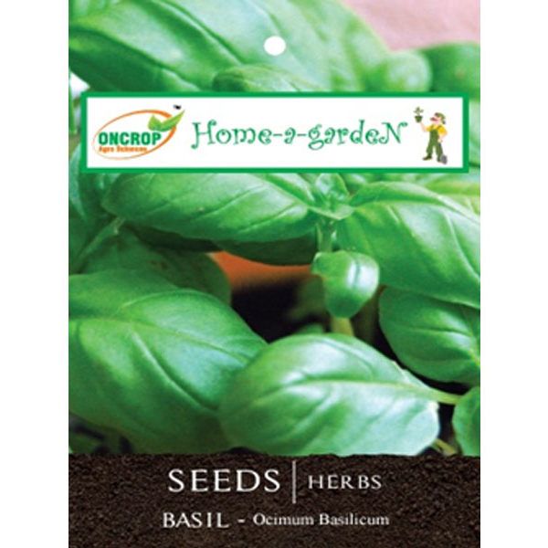 Basil Seeds - Aromatic Culinary Herb for Indian Kitchens