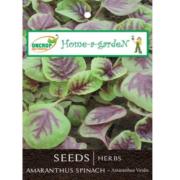Amaranthus Spinach Seeds - Indian Leafy Greens