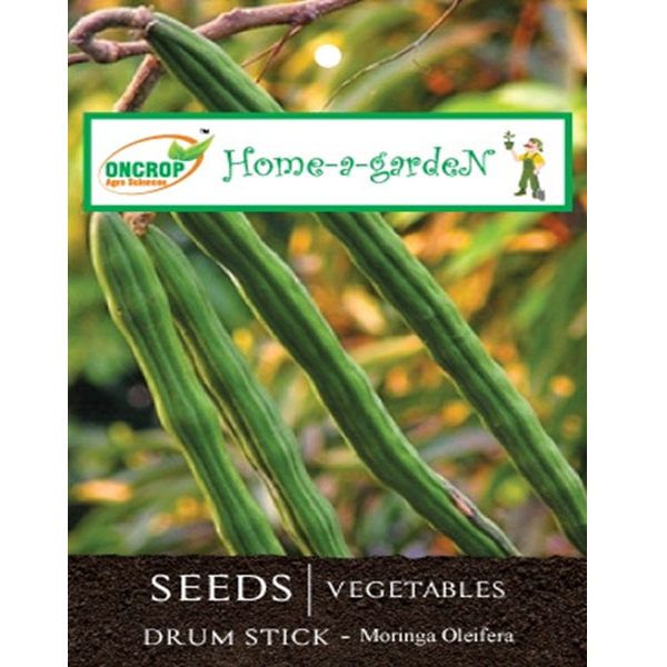 Moringa Drumstick Seeds – Fast-Growing Nutrient-Rich Indian Vegetable Tree Seeds