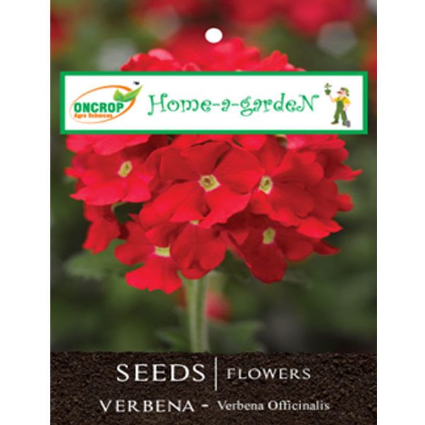 Verbena Flower Seeds – Vibrant, Long-Blooming Ornamental Garden Seeds