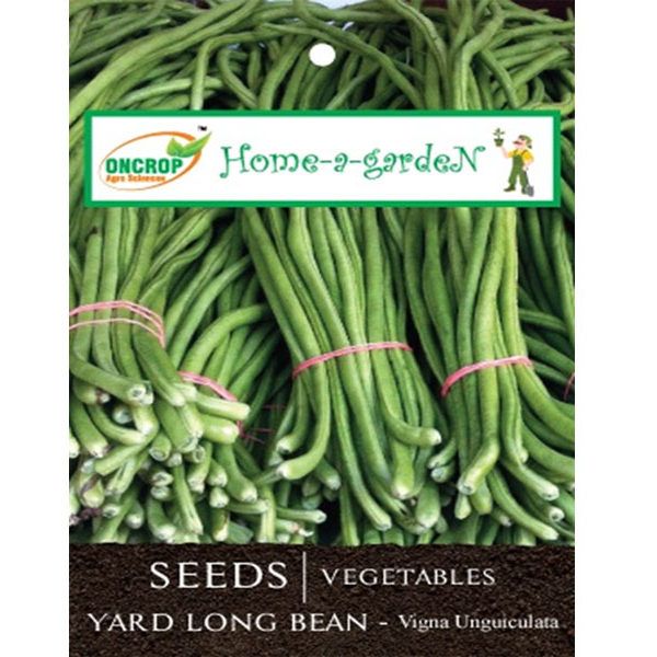 Yard Long Bean Seeds – High Yielding, Tender &amp; Nutritious Pole Beans for Indian Gardens