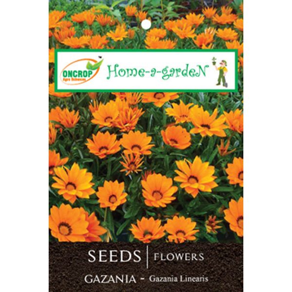 Gazania Flower Seeds – Bright, Drought-Tolerant Ornamental Garden Seeds