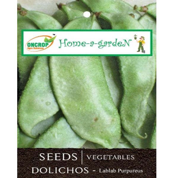 Dolichos (Lablab) Climbing Bean Seeds – Nutritious Tropical Vegetable Seeds