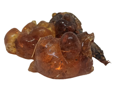 SWADESHI PALASH GUM - PURASU PISIN - புரசு பிசின் - 100gms