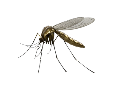 AHIMSA NATURAL OUTDOOR MOSQUITO REPELLENT CONCENTRATE - 500ml