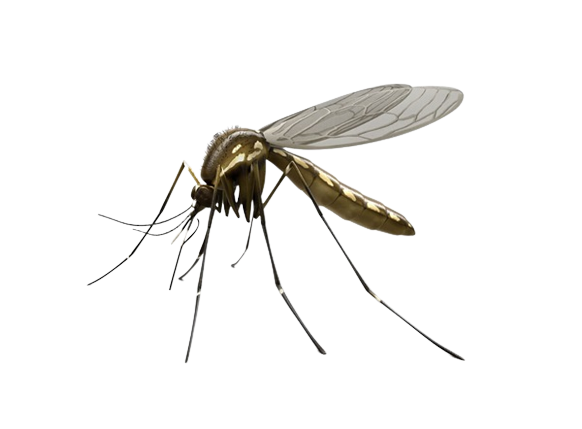 AHIMSA NATURAL OUTDOOR MOSQUITO REPELLENT CONCENTRATE - 500ml