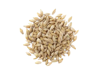 SWADESHI JOU - BARLEY WHEAT - JAU 1 Kg