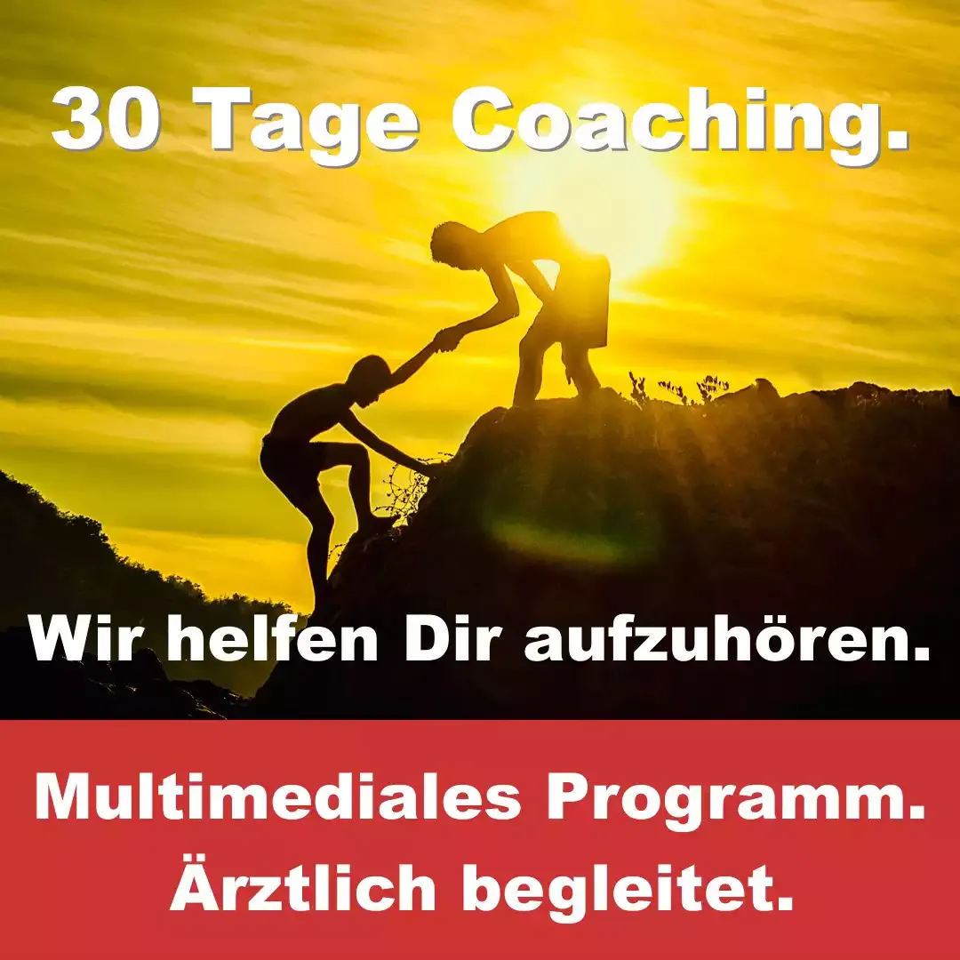 Multimediales 30-Tage-Coaching-Programm Multimediales 30-Tage-Coaching-Programm