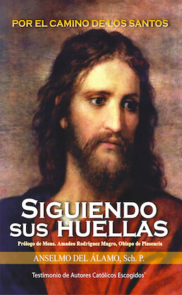 Siguiendo sus Huellas Letra Grande (P. Anselmo del Álamo, Sch.) Tapa Blanda