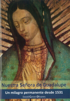 Nuestra Señora de Guadalupe (Un milagro permanente desde 1531)
