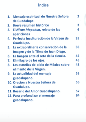 Nuestra Señora de Guadalupe (Un milagro permanente desde 1531)