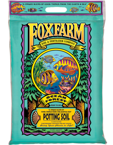 Ocean Forest (12 Quart small)