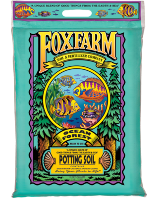 Ocean Forest (12 Quart small)