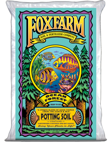 Ocean Forest (1.5 Cu.Ft large)