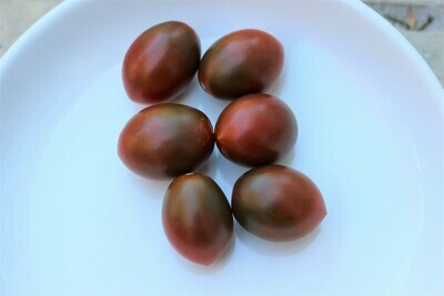 Black Tomatoes