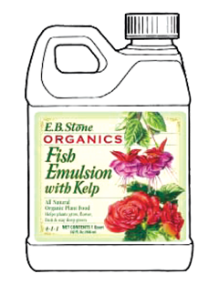E.B Stone Fish Emulsion with kelp (1QT.)  4-1-1