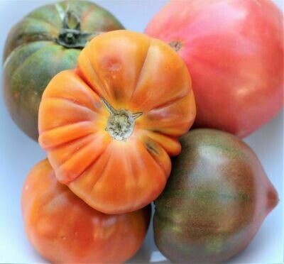 Heirloom Tomatoes