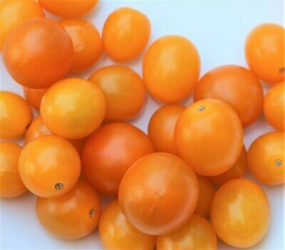 Yellow and Orange Tomatoes