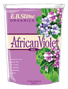 African Violet Mix