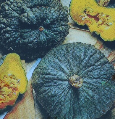 Squashes